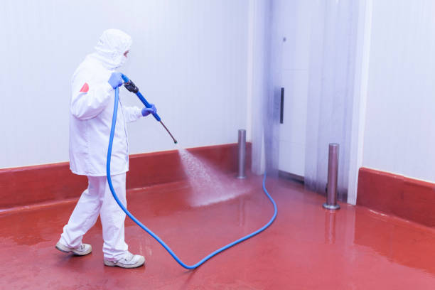 Trusted Pine Grove, CA Pressure Washing Services Experts